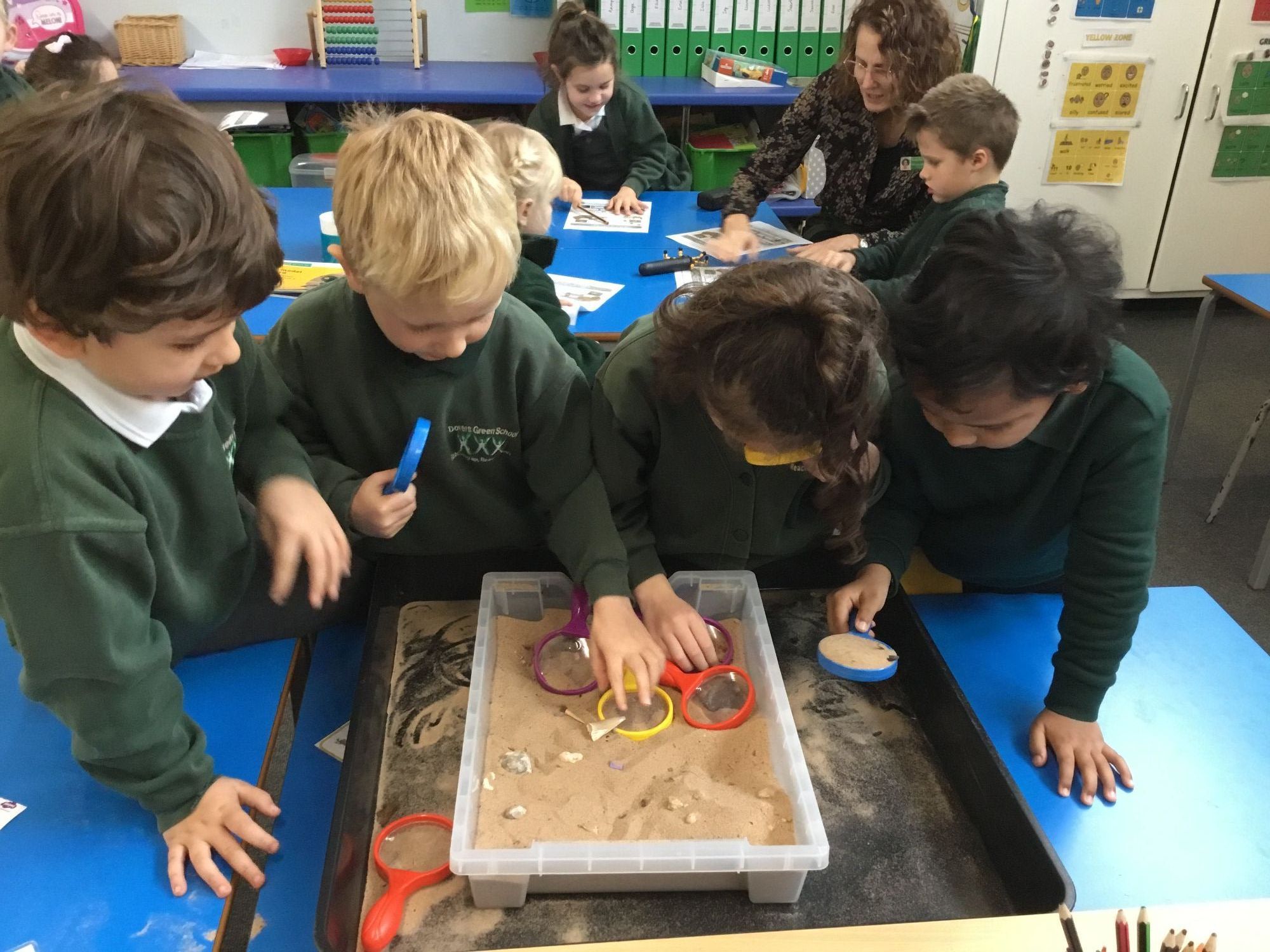 dovers-green-school-owls